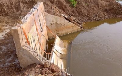 Guinea-Bissau: due dighe che restituiscono vita alle risaie di Cumura